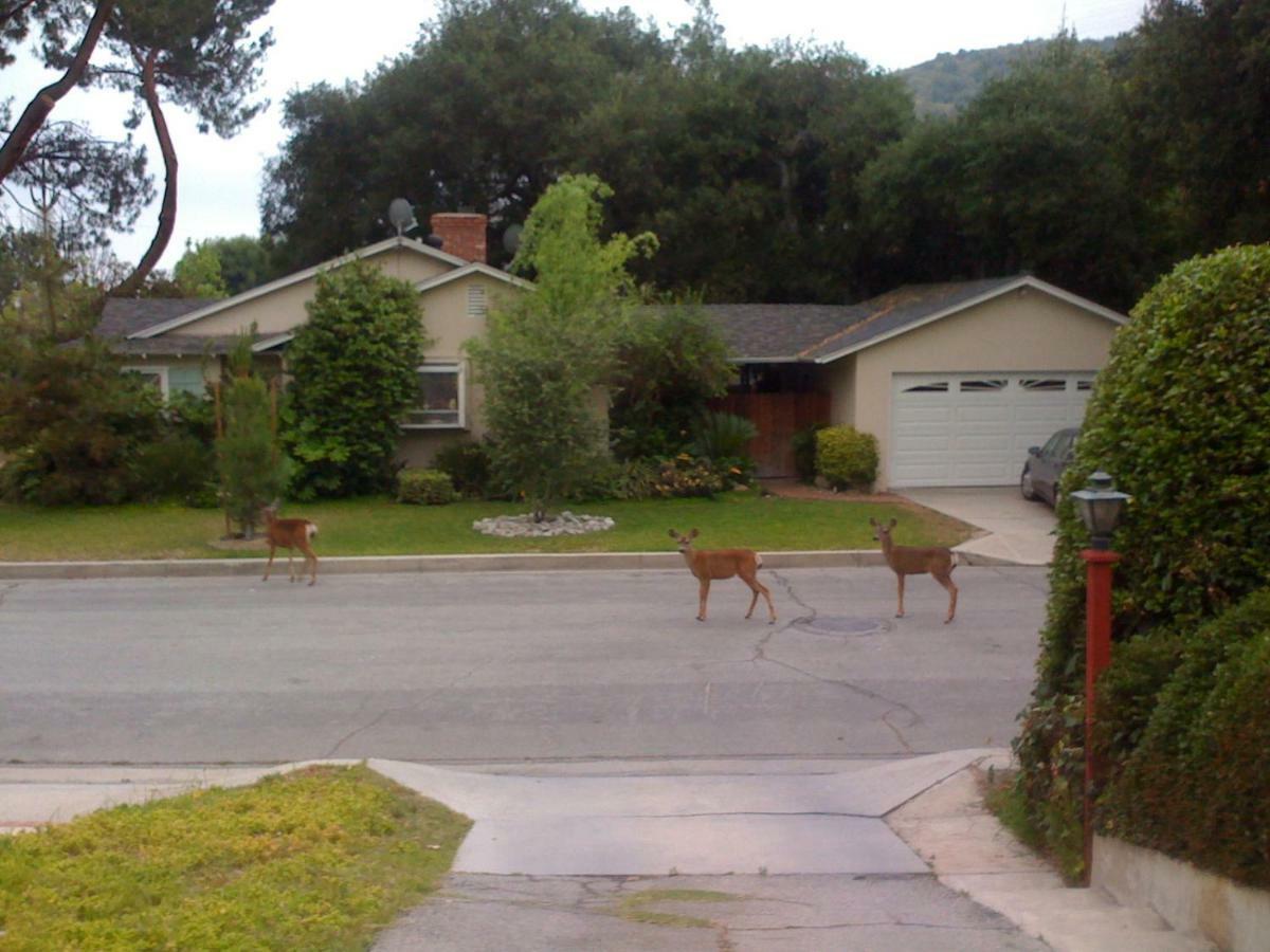 Oak Grove Ranch House Daire Glendale Dış mekan fotoğraf
